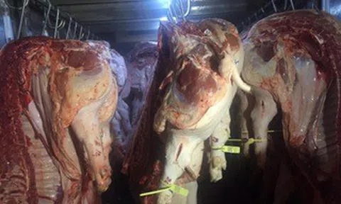 Giá heo hơi hôm nay, 23-4: Đồng loạt giảm tại chợ đầu mối