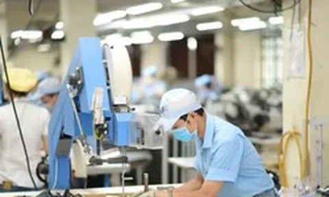 Nhập siêu 7,9 tỷ USD do đâu?