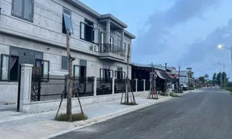 Hàng loạt cây xanh "chết đứng" ở khu đô thị mới vùng biển