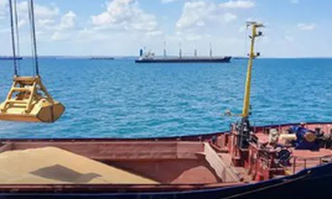 Israel dừng dỡ hàng từ tàu chở ngũ cốc của Nga