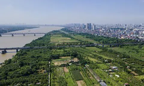 Biến bãi bồi thành công viên, khu sinh thái