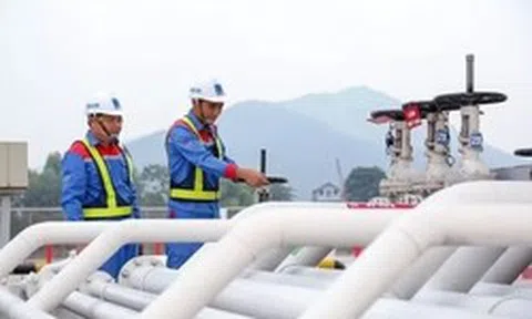 Nhập khẩu xăng dầu tăng mạnh, thương mại Việt Nam đảo chiều