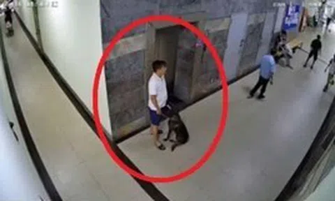 Bị nhắc đeo rọ mõm, chủ chó đánh gục thành viên ban quản trị chung cư