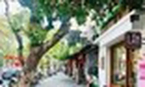 Hà Nội dự kiến cho thuê vỉa hè để kinh doanh tại phường Hoàn Kiếm, Cửa Nam