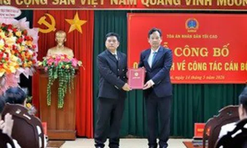 Ông Bùi Danh Đại làm Chánh án TAND tỉnh Gia Lai