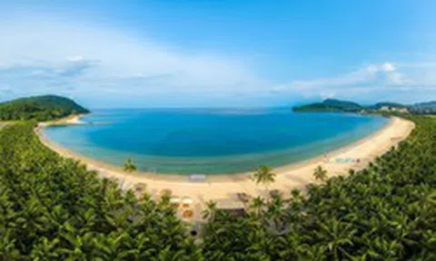 Lý do căn hộ nghỉ dưỡng view biển là lựa chọn hàng đầu trước chu kỳ tăng trưởng