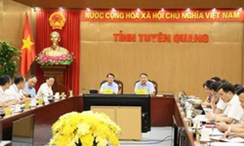 Đại gia Vũ Văn Tiền muốn chi 7.800 tỷ đồng để chăn nuôi lợn, trồng chè