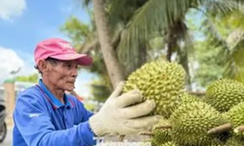 Lưu ý quan trọng về xuất khẩu nông sản sang Trung Quốc từ 1/6