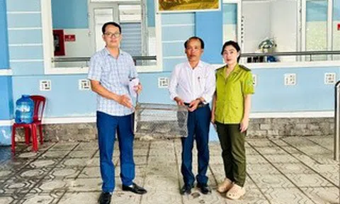 Phát hiện con vật quý hiếm, dài 70cm nằm giữa đồng ruộng