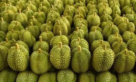 Việt Nam đón tin vui cùng lúc từ Campuchia và Malaysia