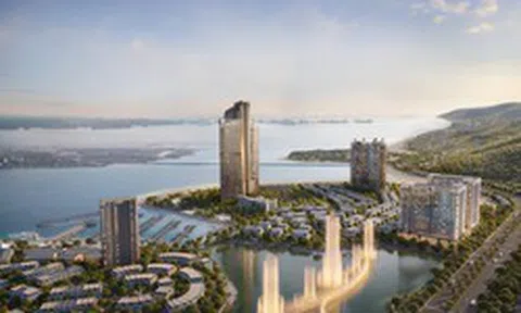 Giữa làn sóng đại dự án, dữ liệu nói gì về bất động sản Hạ Long?