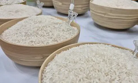 Ngành điều, gạo, rau quả trước quy định nhập khẩu mới của Trung Quốc