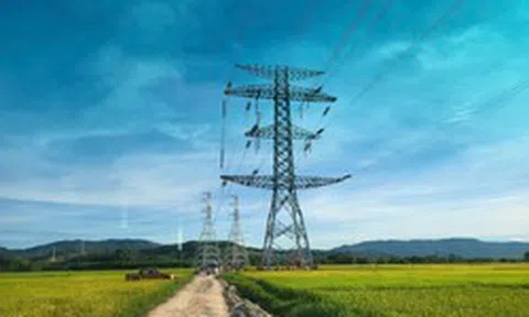 Những doanh nghiệp tham gia siêu dự án 22.300 tỷ Đường dây 500kV mạch 3