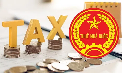 Từ 1/7, doanh nghiệp nợ thuế, không hoạt động tại địa chỉ kinh doanh sẽ bị cơ quan thuế cưỡng chế phá sản
