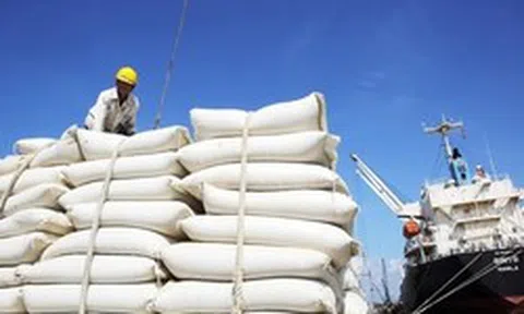 Láng giềng 'ôm' kho gạo 5 triệu tấn, một nước Đông Nam Á vẫn tăng mạnh mua gạo Việt