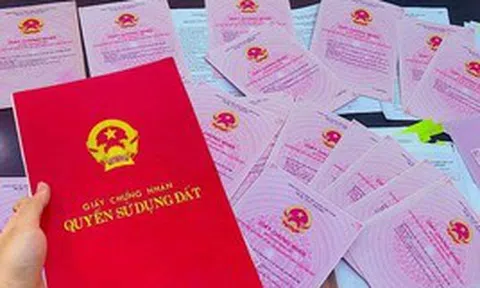 Cơ quan thuế phát thông tin quan trọng đến người sử dụng đất: Chậm làm thủ tục này có thể ảnh hưởng quyền lợi