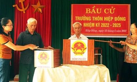 Ai đủ tiêu chuẩn làm Trưởng thôn, Tổ trưởng Tổ dân phố?