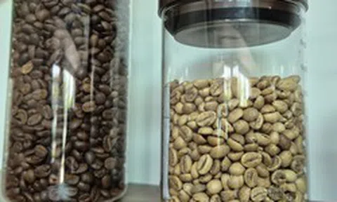 Giá cà phê hôm nay 30-5: Arabica lao dốc, người Việt uống cà phê nhiều hơn