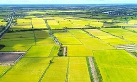 3 trường hợp được giảm 70% tiền sử dụng đất