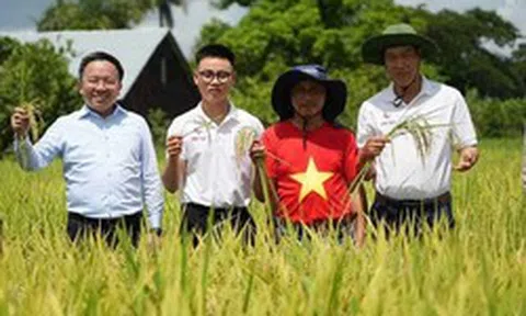 Vượt nửa vòng Trái đất đến Cuba: Kỹ sư Việt bắt tay làm ngay 1 việc, kỳ tích xuất hiện vào tháng 5/2026