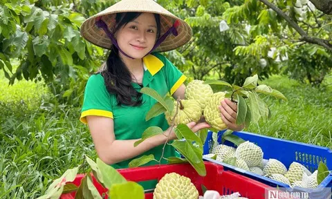 Cơ hội và thách thức khi đưa nông sản lên sàn thương mại điện tử