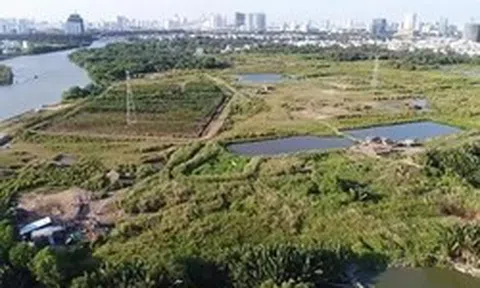 Hơn 17.000 ha đất của các dự án ở TPHCM đang chờ tháo gỡ