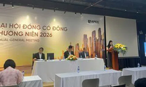 Thời đỉnh cao từng lãi 200 tỷ đồng, nay API chỉ đặt mục tiêu lợi nhuận 2026 gần 73 tỷ đồng, Chủ tịch nói gì?