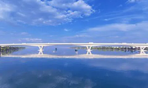 CC1 công bố BCTC kiểm toán 2025, backlog tiếp tục gia tăng