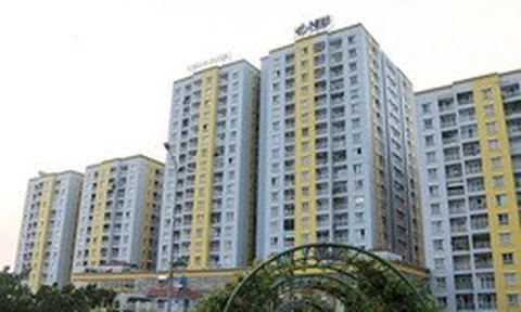 Năm Bảy Bảy bán toàn bộ cổ phiếu quỹ trong tháng 7