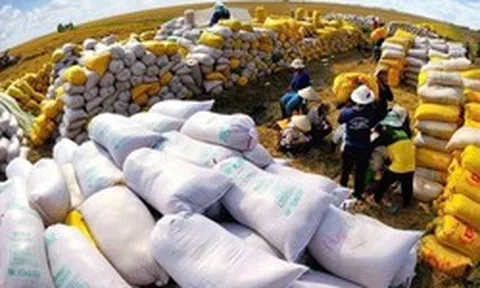 Việt Nam đón tin vui từ mặt hàng xuất khẩu chủ lực: Sản phẩm cao cấp ngày càng được ưa chuộng