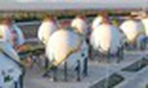 Nhật Bản thua đau Trung Quốc 1 lĩnh vực quan trọng dù đi trước 9 năm, thừa nhận mọi tham vọng đều đi vào ngõ cụt