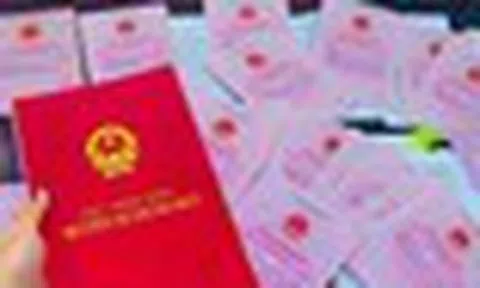 Cơ quan thuế phát thông tin quan trọng đến người sử dụng đất: Chậm làm thủ tục này có thể ảnh hưởng quyền lợi