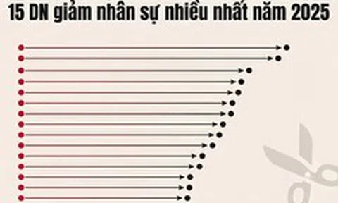 Lộ diện những 'ông lớn' giảm nhân sự nhiều nhất năm 2025: Nhóm ngân hàng áp đảo, Golden Gate, Viettel Post, Hòa Phát... giảm hàng nghìn người