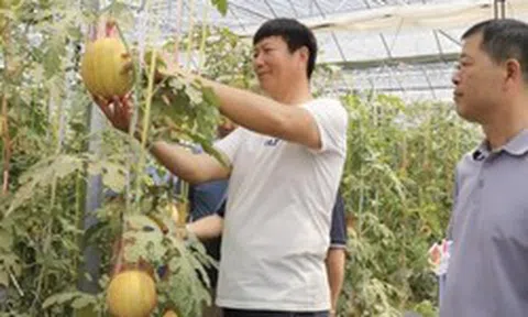 Phát minh của Trung Quốc gây sốc ngành rau quả: Tạo ra ‘dưa hấu vũ trụ’ có hương vị sữa, chocolate, thu về hơn 30.000 đơn đặt hàng