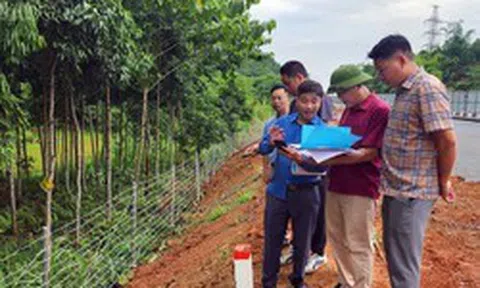Khẩn trương giải phóng mặt bằng Dự án đường sắt Lào Cai - Hà Nội - Hải Phòng