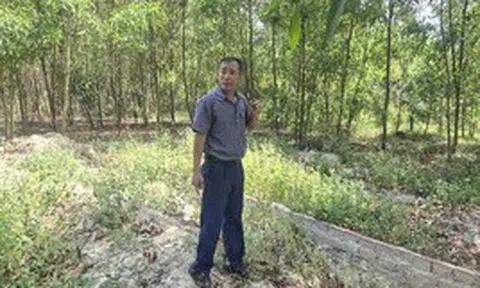 Cựu cán bộ xã xót xa khi mộ con bị di dời: Đà Nẵng giao thanh tra vào cuộc