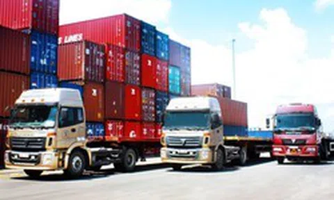 Phó Thủ tướng yêu cầu giảm giá cước vận tải khi giá xăng dầu giảm