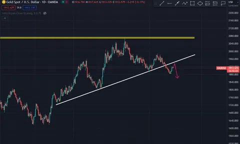 Tổng quan thị trường tài chính tháng 8 và Dự đoán thị trường tháng 9/2023